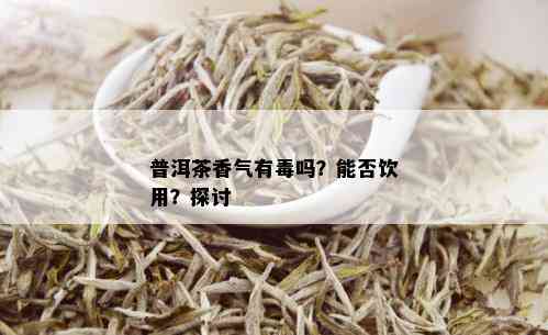 普洱茶香气有吗？能否饮用？探讨