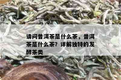 请问普洱茶是什么茶，普洱茶是什么茶？详解独特的发酵茶类