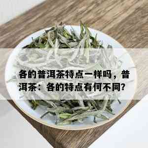 各的普洱茶特点一样吗，普洱茶：各的特点有何不同？