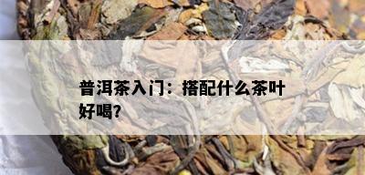 普洱茶入门：搭配什么茶叶好喝？