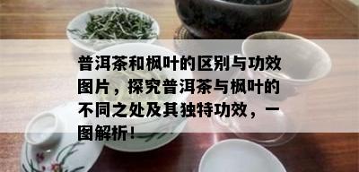 普洱茶和枫叶的区别与功效图片，探究普洱茶与枫叶的不同之处及其独特功效，一图解析！