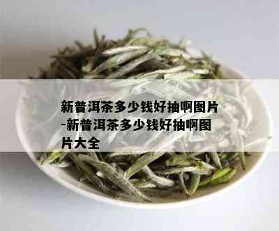 新普洱茶多少钱好抽啊图片-新普洱茶多少钱好抽啊图片大全