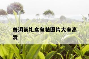 普洱茶礼盒包装图片大全高清