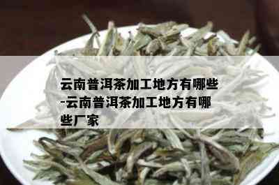 云南普洱茶加工地方有哪些-云南普洱茶加工地方有哪些厂家