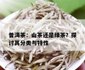 普洱茶：山茶还是绿茶？探讨其分类与特性