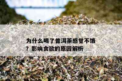 为什么喝了普洱茶感觉不饿？影响食欲的原因解析