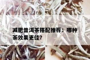 减肥普洱茶搭配推荐：哪种茶效果更佳？