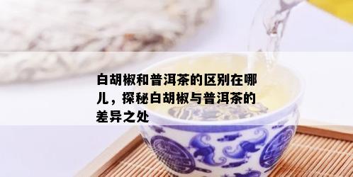 白胡椒和普洱茶的区别在哪儿，探秘白胡椒与普洱茶的差异之处