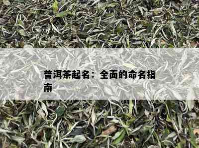 普洱茶起名：全面的命名指南