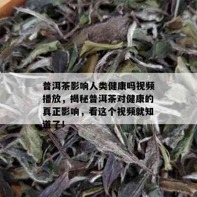 普洱茶影响人类健康吗视频播放，揭秘普洱茶对健康的真正影响，看这个视频就知道了！