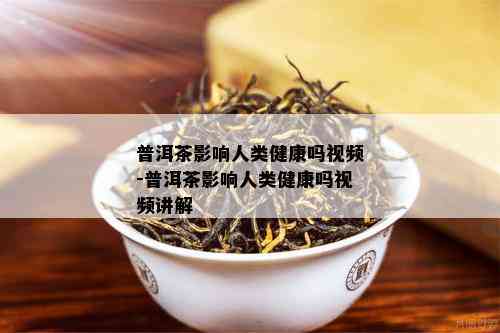 普洱茶影响人类健康吗视频-普洱茶影响人类健康吗视频讲解