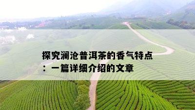 探究澜沧普洱茶的香气特点：一篇详细介绍的文章