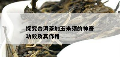 探究普洱茶加玉米须的神奇功效及其作用