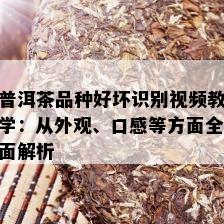 普洱茶品种好坏识别视频教学：从外观、口感等方面全面解析