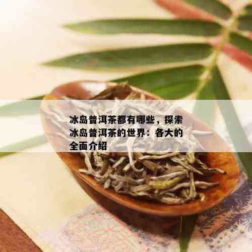 冰岛普洱茶都有哪些，探索冰岛普洱茶的世界：各大的全面介绍