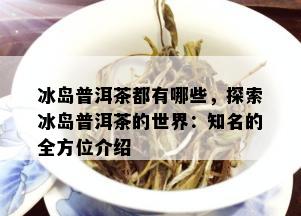 冰岛普洱茶都有哪些，探索冰岛普洱茶的世界：知名的全方位介绍