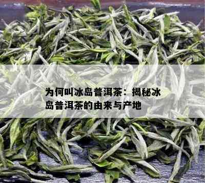 为何叫冰岛普洱茶：揭秘冰岛普洱茶的由来与产地