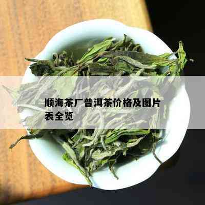 顺海茶厂普洱茶价格及图片表全览