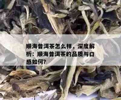 顺海普洱茶怎么样，深度解析：顺海普洱茶的品质与口感如何？