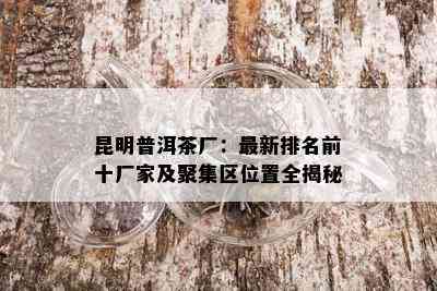 昆明普洱茶厂：最新排名前十厂家及聚集区位置全揭秘