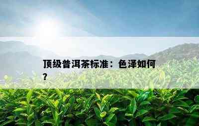 顶级普洱茶标准：色泽如何？