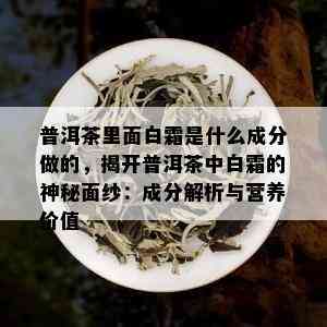 普洱茶里面白霜是什么成分做的，揭开普洱茶中白霜的神秘面纱：成分解析与营养价值