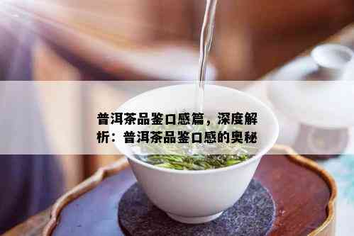 普洱茶品鉴口感篇，深度解析：普洱茶品鉴口感的奥秘