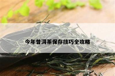 今年普洱茶保存技巧全攻略