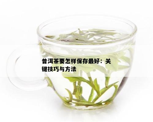 普洱茶要怎样保存更好：关键技巧与方法