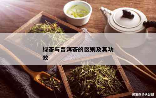 绿茶与普洱茶的区别及其功效