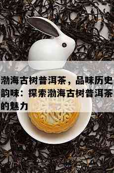 渤海古树普洱茶，品味历史韵味：探索渤海古树普洱茶的魅力