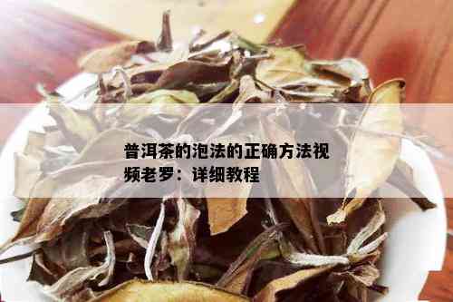 普洱茶的泡法的正确方法视频老罗：详细教程