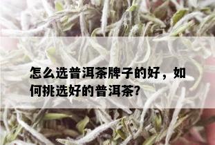 怎么选普洱茶牌子的好，如何挑选好的普洱茶？