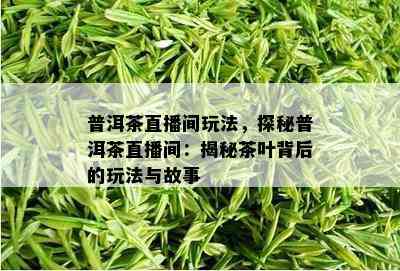 普洱茶直播间玩法，探秘普洱茶直播间：揭秘茶叶背后的玩法与故事