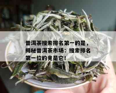 普洱茶搜索排名之一的是，揭秘普洱茶市场：搜索排名之一位的竟是它！