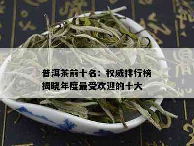 普洱茶前十名：权威排行榜揭晓年度更受欢迎的十大