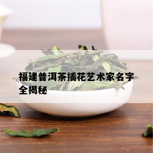 福建普洱茶插花艺术家名字全揭秘