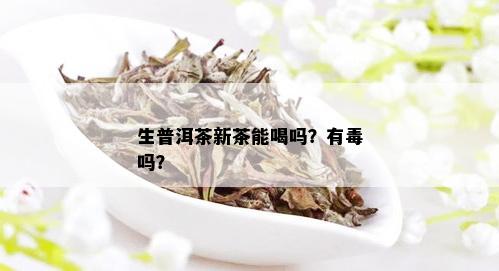 生普洱茶新茶能喝吗？有吗？