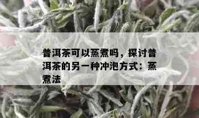 普洱茶可以蒸煮吗，探讨普洱茶的另一种冲泡方式：蒸煮法