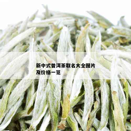 新中式普洱茶取名大全图片及价格一览