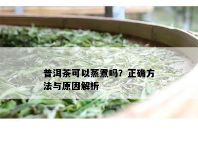 普洱茶可以蒸煮吗？正确方法与原因解析