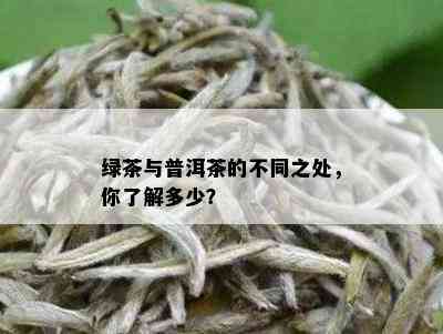 绿茶与普洱茶的不同之处，你了解多少？