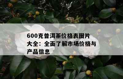 600克普洱茶价格表图片大全：全面了解市场价格与产品信息