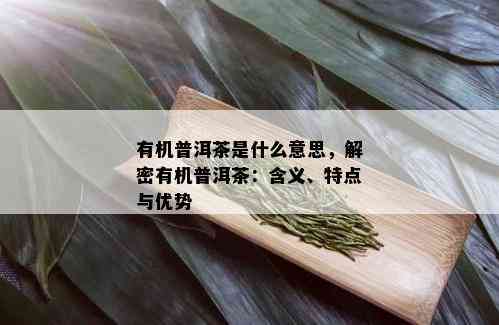 有机普洱茶是什么意思，解密有机普洱茶：含义、特点与优势