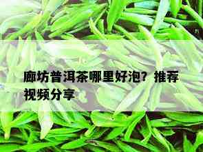 廊坊普洱茶哪里好泡？推荐视频分享