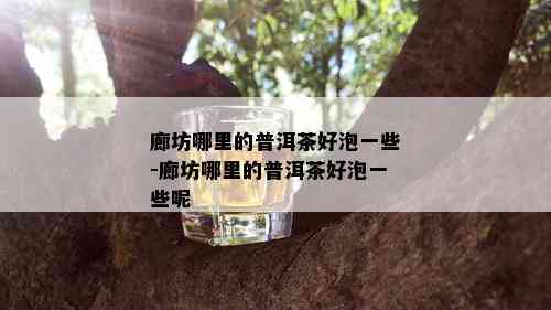 廊坊哪里的普洱茶好泡一些-廊坊哪里的普洱茶好泡一些呢