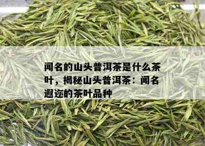 闻名的山头普洱茶是什么茶叶，揭秘山头普洱茶：闻名遐迩的茶叶品种