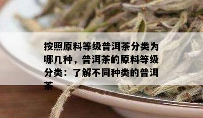 按照原料等级普洱茶分类为哪几种，普洱茶的原料等级分类：了解不同种类的普洱茶