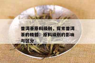 普洱茶原料级别，探索普洱茶的精髓：原料级别的影响与区分