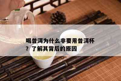 喝普洱为什么非要用普洱杯？了解其背后的原因